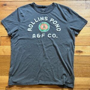 Abercrombie & Fitch Dark Gray Graphic Tee